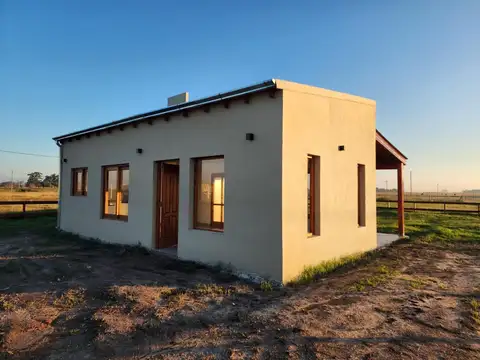 El Viejo Ombu