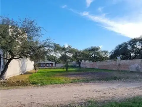 B LOS TUCANES 100