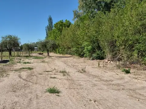 Terreno en Venta de 1254,0 m2
