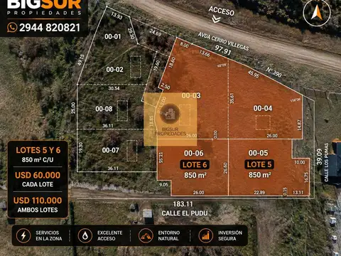 LOTE 5  867,10