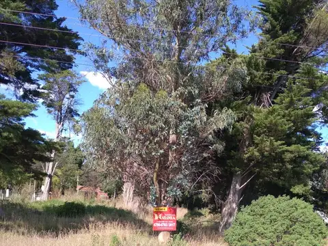 Terreno en Venta de 400,0 m2