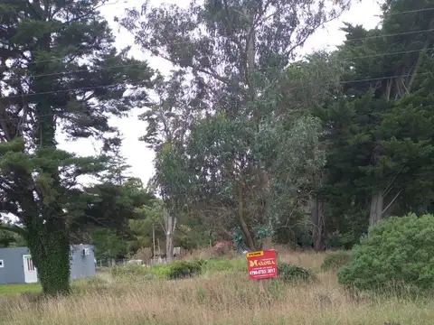 VENTA  LOTES SOBRE RUTA 2 KM 391 1/2 BARRIO EL SOSIEGO