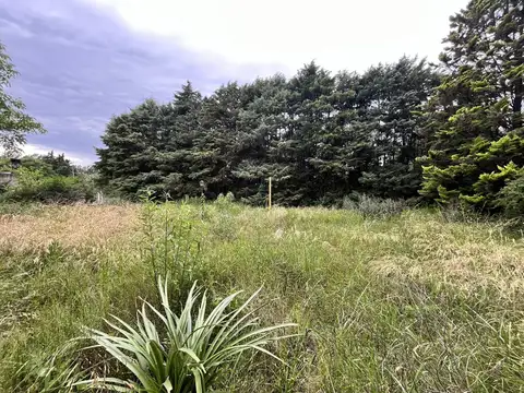 Lotes Cruce de Etcheverry Ideal inversor, desarrollo, uso recreativo 3140 m2 calle 46 e/ 243  y 244