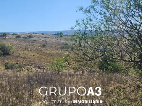 Pública 100, Piso 00