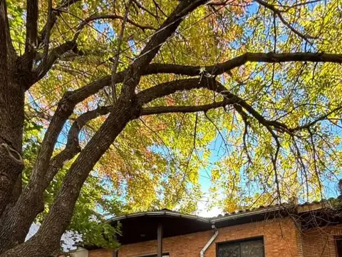 Venta PH tipo Casa 5 amb Vicente Lopez con terraza y patio
