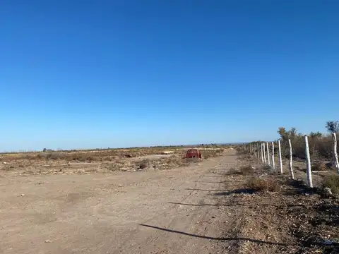 Campo en venta - Junín