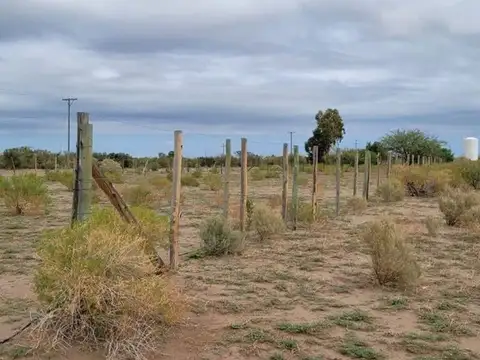 Carril Zapata y Calle n°10 15