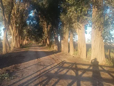 Terreno en Venta en Parada Robles, USD 11.000