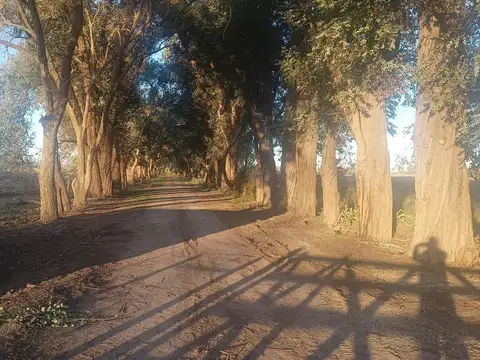 LOTES PARQUE ROBLES 2  - EXALTACION DE LA CRUZ - ANTICIPO 0%