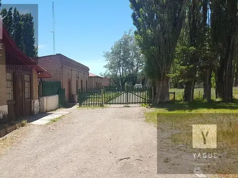 Campo - Tecka