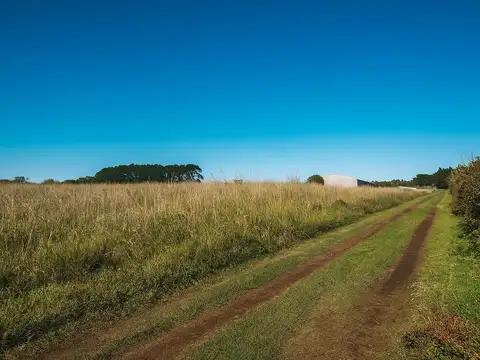 Campo en Sierra de Los Padres