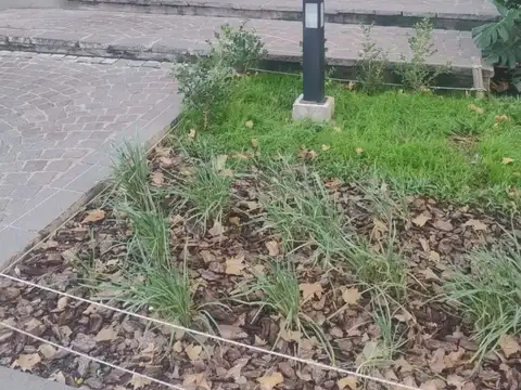 LOMAS DE ZAMORA CENTRO: ALQUILER DEPTO. 3 AMB CON BALCON AL BRENTE.CONSULTE 
