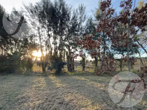 Terreno en Venta 55  mts Fondo