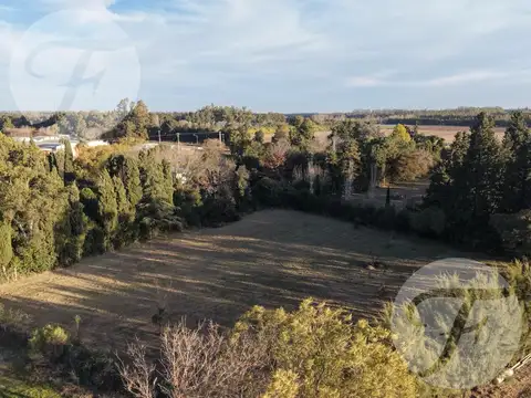 Lote de 4.028 m² en Villa Jardín | San Pedro, Buenos Aires | Entorno arbolado