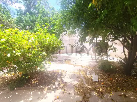 Venta casa 3 Dormitorios Dorrego