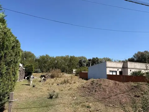 LOTE EN VENTA EN SAN MIGUEL DEL MONTE