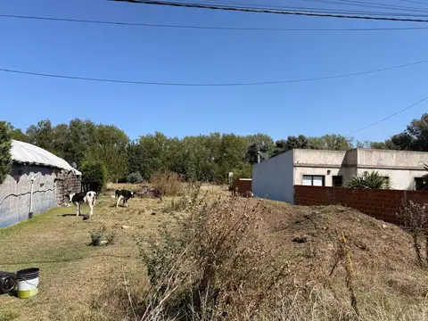 Calle Alfonsina Storni
