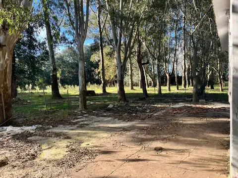 Terreno en Alquiler en Lisandro Olmos Etcheverry, $ 800.000