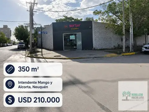Galpón 350 m² en venta – Int. Mango y Alcorta