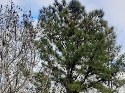 PROPIEDAD DE TRES DORMIOTORIOS. TERRENO DE 640M2.