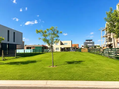 Avenida de los Lagos