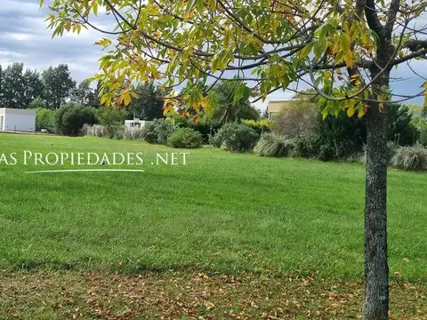 Terreno en Venta 64  mts Frente