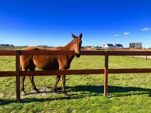 Terreno en Venta de 1000,0 m2