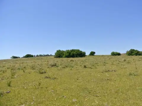 114.70 hectÃ¡reas | Campo | Ruta 39 km 36
