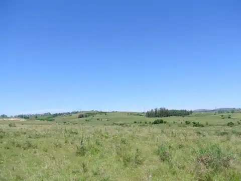 Ruta 39 km