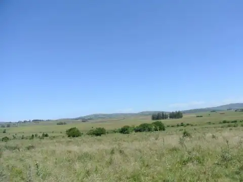 114.70 hectÃ¡reas | Campo | Ruta 39 km 36
