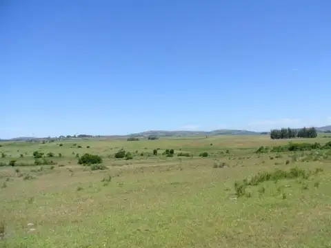 Ruta 39 km