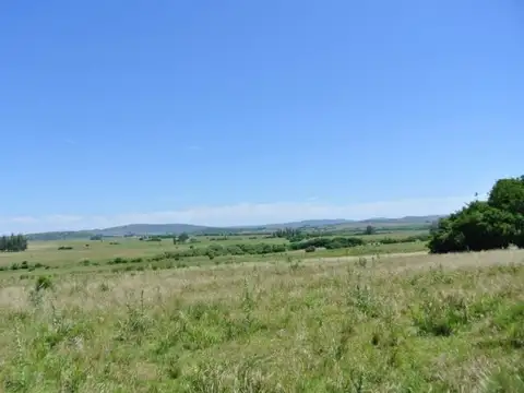 Ruta 39 km
