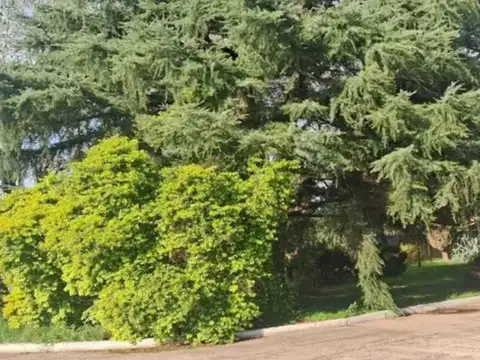Planta Industrial En Venta 13.300m2, Virrey Del Pino