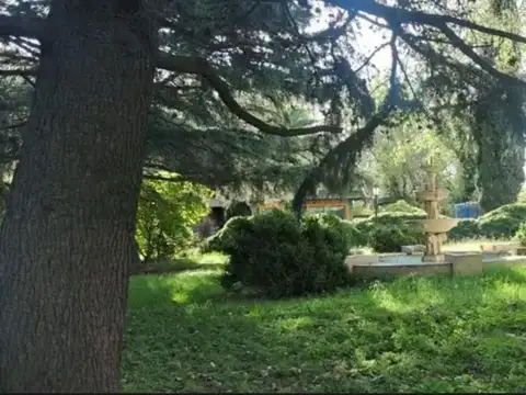 Virrey del Pino Km