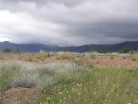 Venta Lote Eco Country Altos de la Crucesita