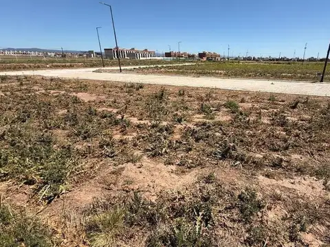 Terreno en Venta de 250,0 m2