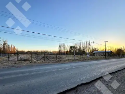 Alquiler Terreno 3 HA - Calle Río Colorado - Plottier - Neuquén