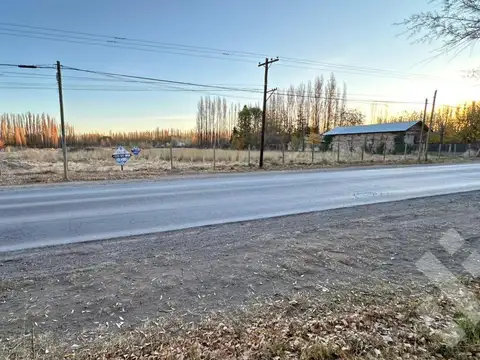 Terreno en Alquiler en Plottier, USD 2.500