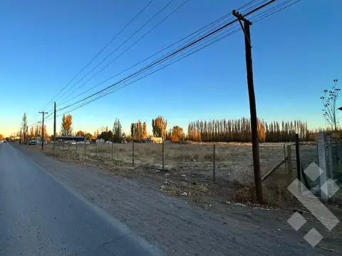 Terreno en Alquiler en Plottier, USD 2.500