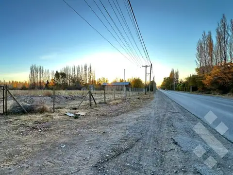 Alquiler Terreno 3 HA - Calle Río Colorado - Plottier - Neuquén