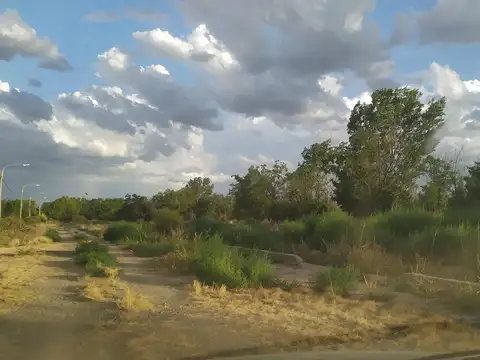 Terreno en Venta en Zapata, USD 10.000