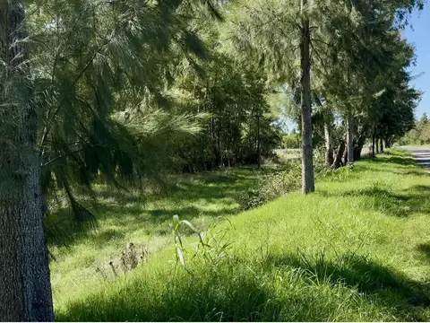 Calle 1era Circunvalación