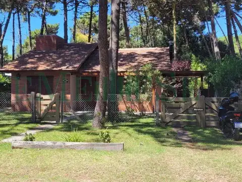 martinetas 600