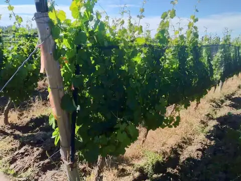 Ruta Provincial 154 100