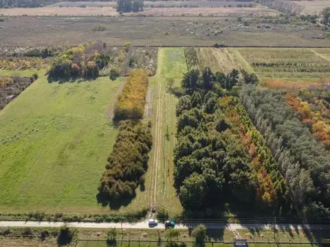 CAMPO EN VENTA ARANA  DE 17,42 HECTÁREAS