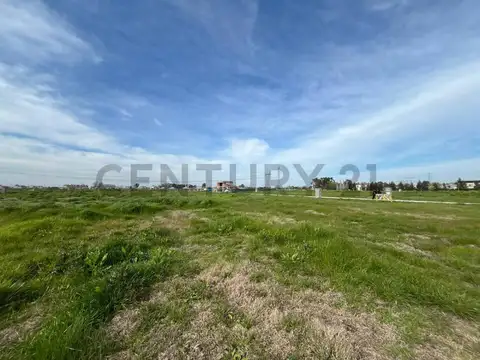 Terreno en Venta 37  mts Fondo