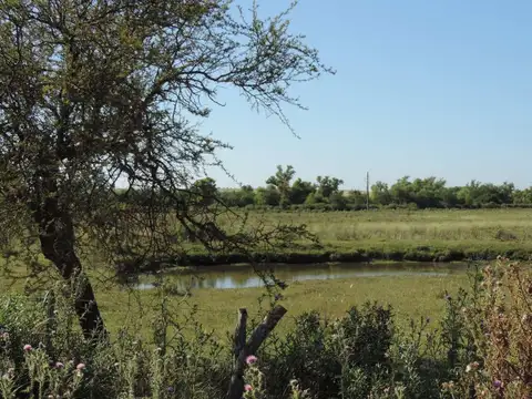 Chacra con casa y galpón, costa con arroyo Valdez