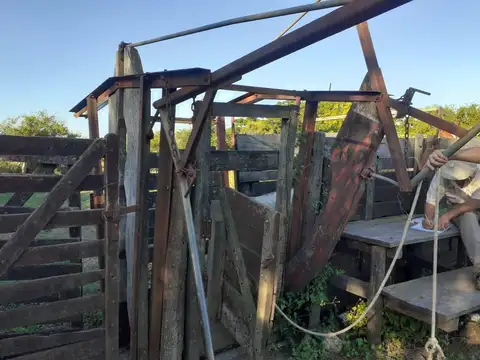 Campo  300 has entre La Criolla y Crespo