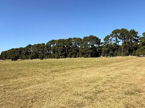 Terreno Lote  en Venta en Pinares CC, Exaltación de la Cruz, G.B.A. Zona Norte