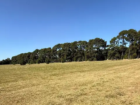 Terreno en Venta de 1620,0 m2